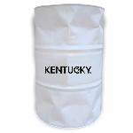 Kentucky Logo (Thumb)